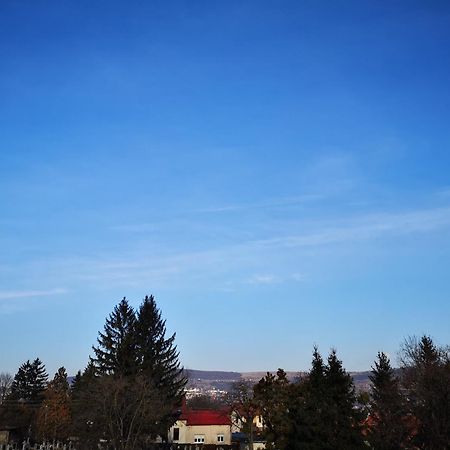 Villa-Hotel Escala Cluj Napoca Bagian luar foto