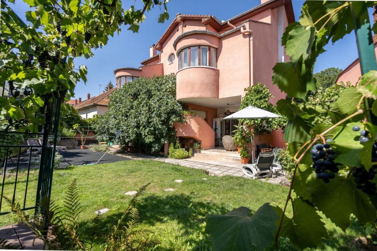 Villa-Hotel Escala Cluj Napoca Bagian luar foto