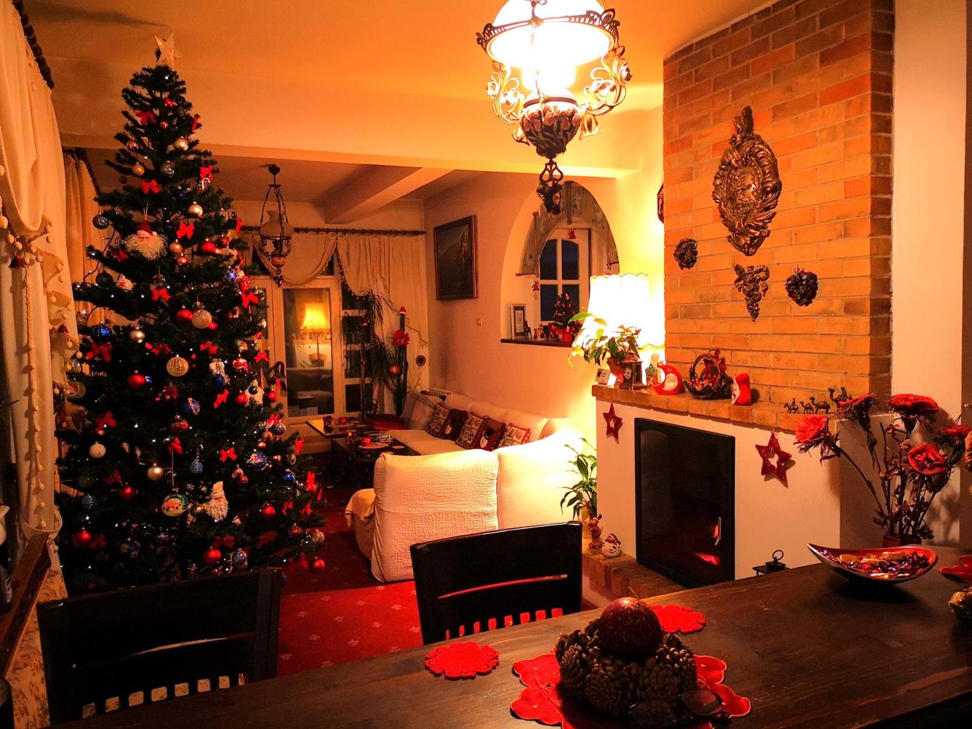 Villa-Hotel Escala Cluj Napoca Bagian luar foto
